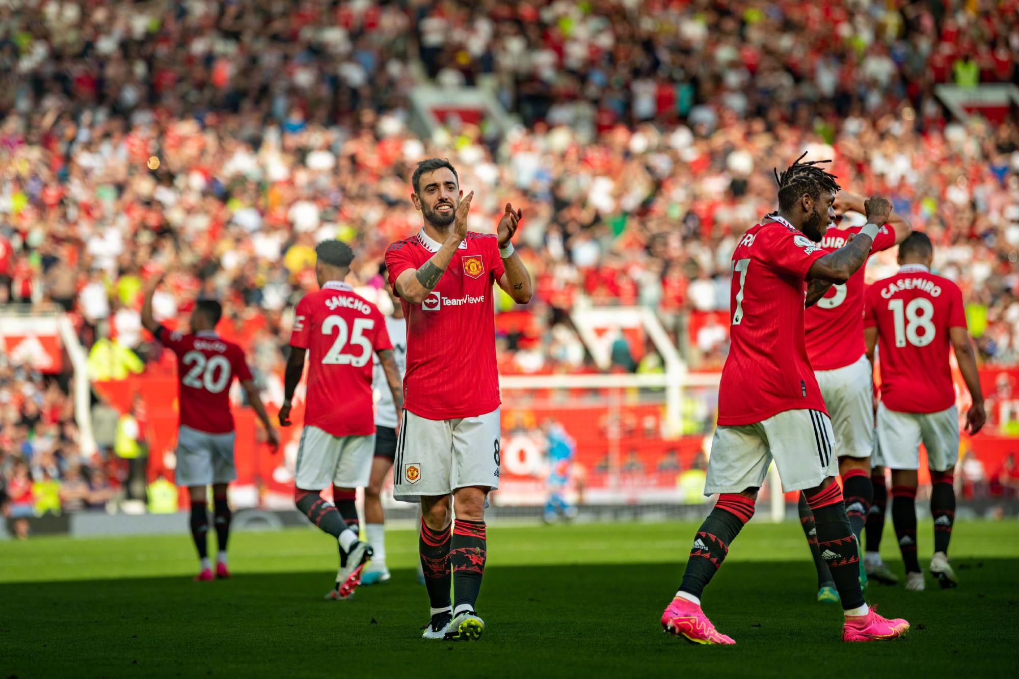 特别是对于 特别是对于