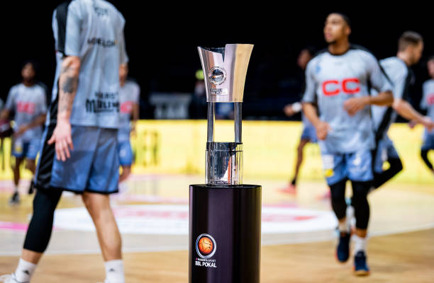 法年龄结构 法年龄结构